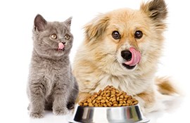 Pet food