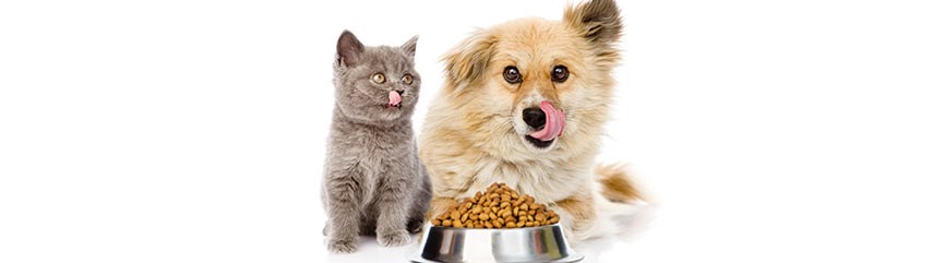 Pet food