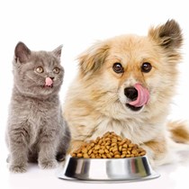 Pet Food